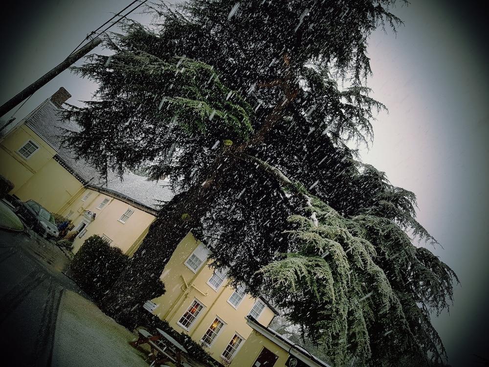 The Cedars Hotel 스토우마켓 외부 사진